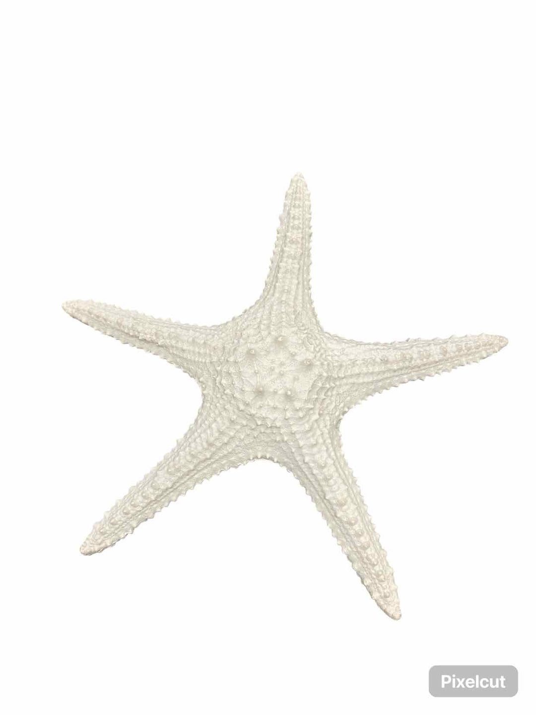 Starfish Wall Hanging Home Decor