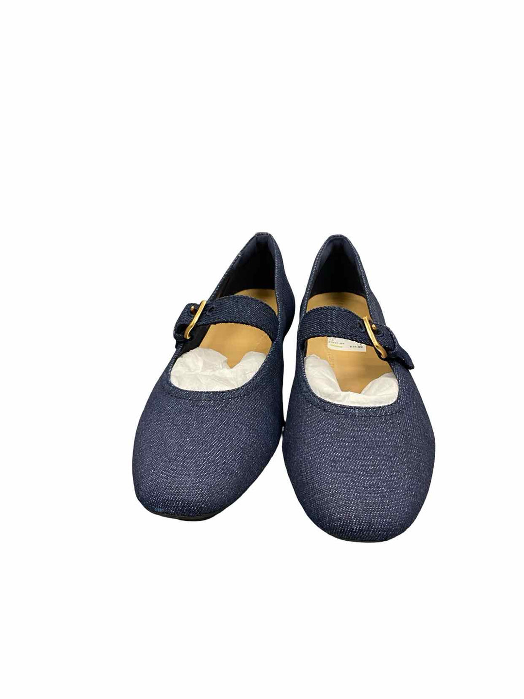 Fitflop Shoe Size 7.5 Blue Mary Jane Flats