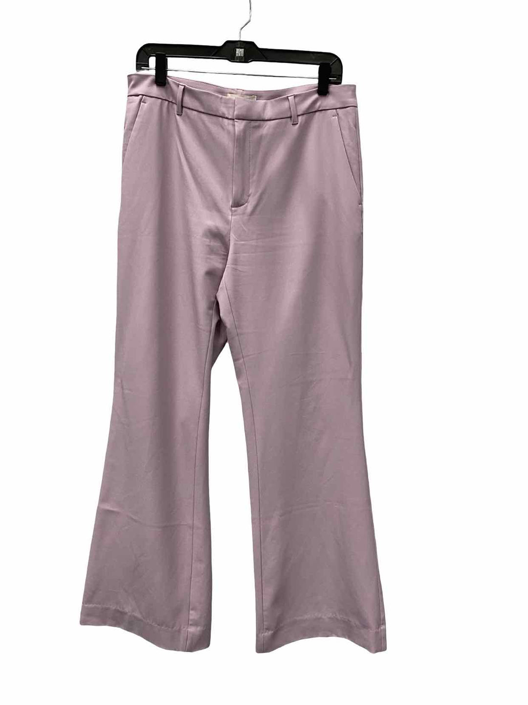 Banana Republic Size 10 Purple Pants