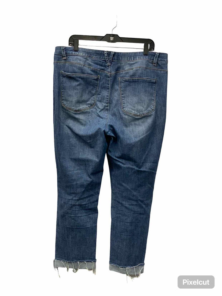 Wit & Wisdom Size 16 Blue Jeans