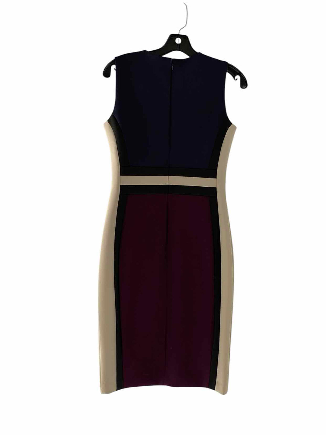 Calvin Klein Size 4 Navy Purple Dress