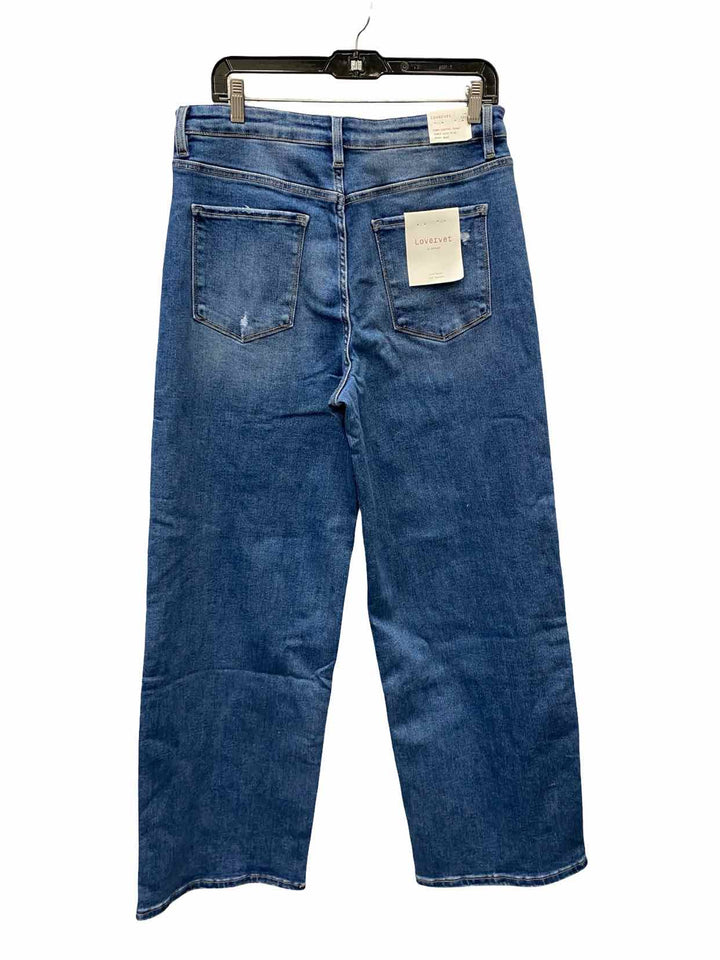 Vervet Size 32 Blue NWT Baggy Wide-Leg Jeans