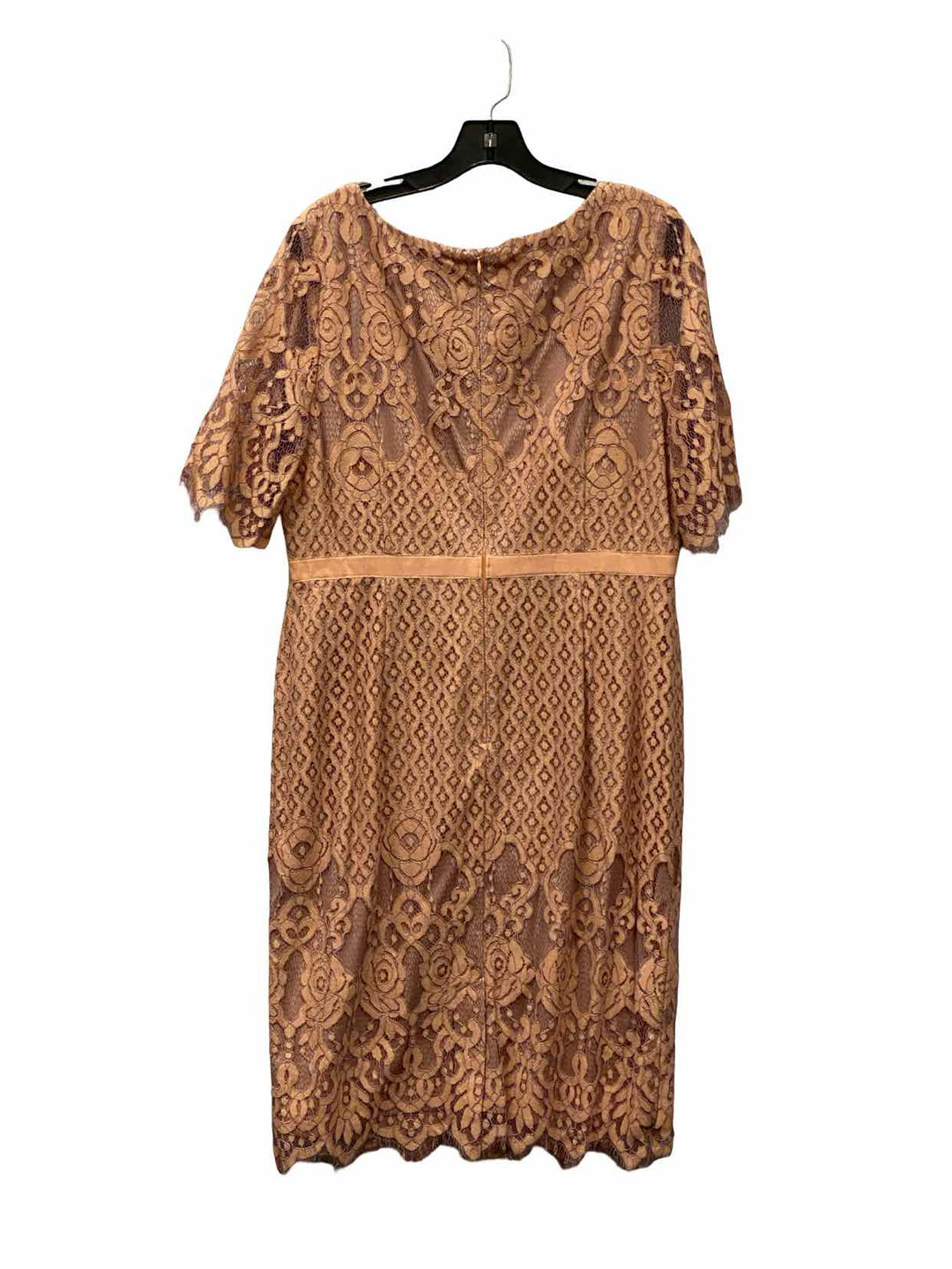 Adriana Papell Size 16 Pink Lace Dress