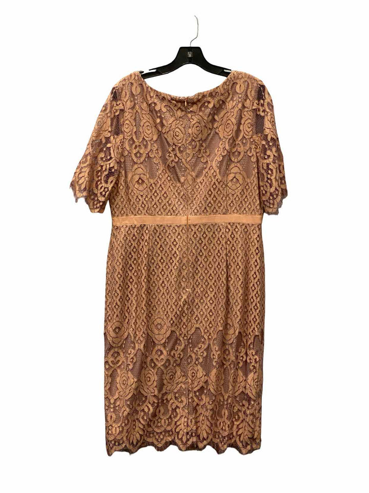 Adriana Papell Size 16 Pink Lace Dress