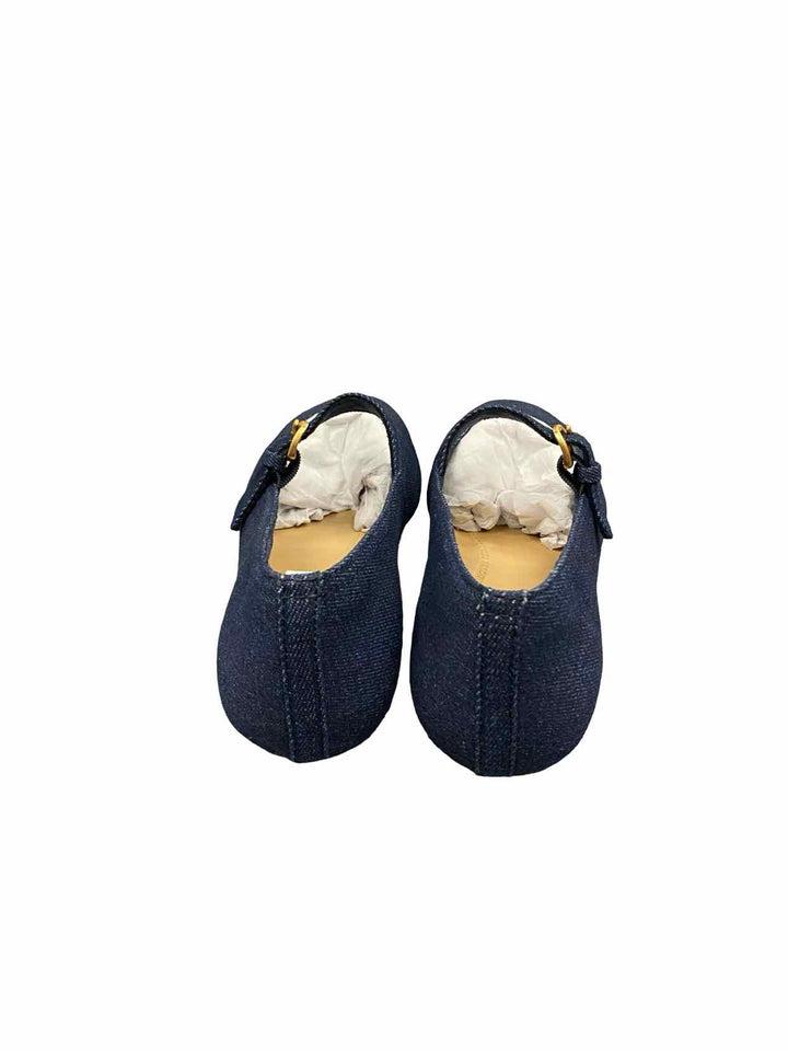 Fitflop Shoe Size 7.5 Blue Mary Jane Flats