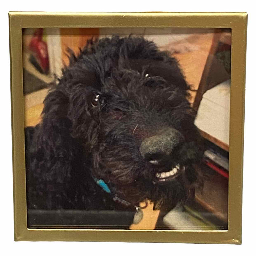 Picture Frame Home Decor