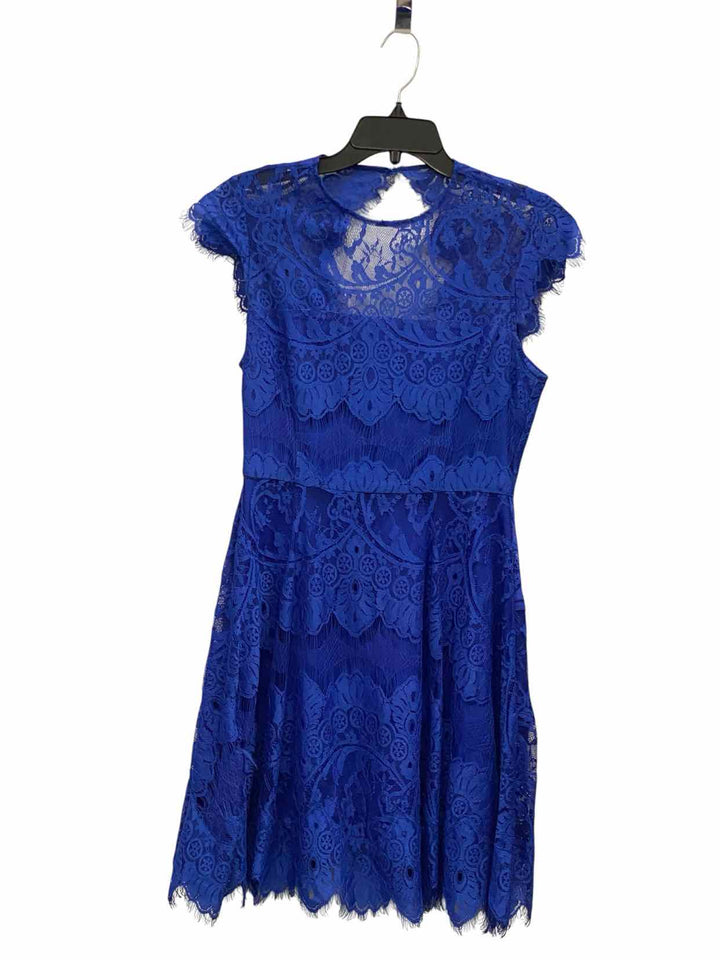 BB Dakota Size 4 Blue Print Dress