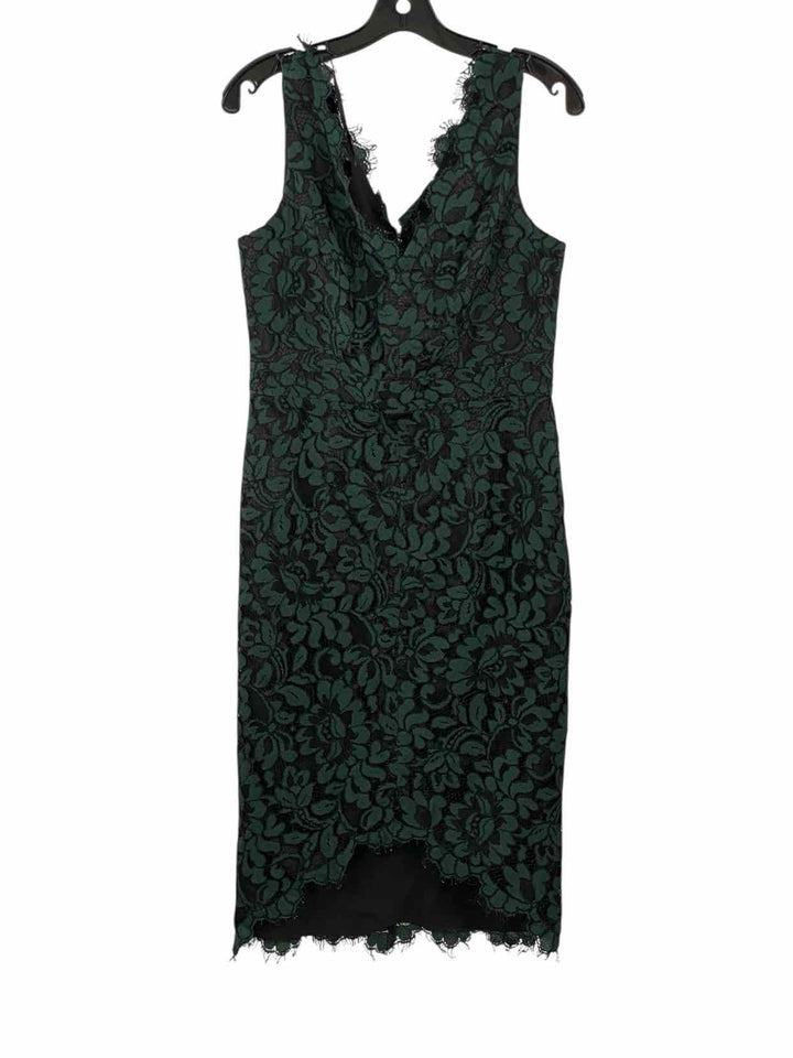 Eliza J Size 6 Green Black Lace/Floral Dress