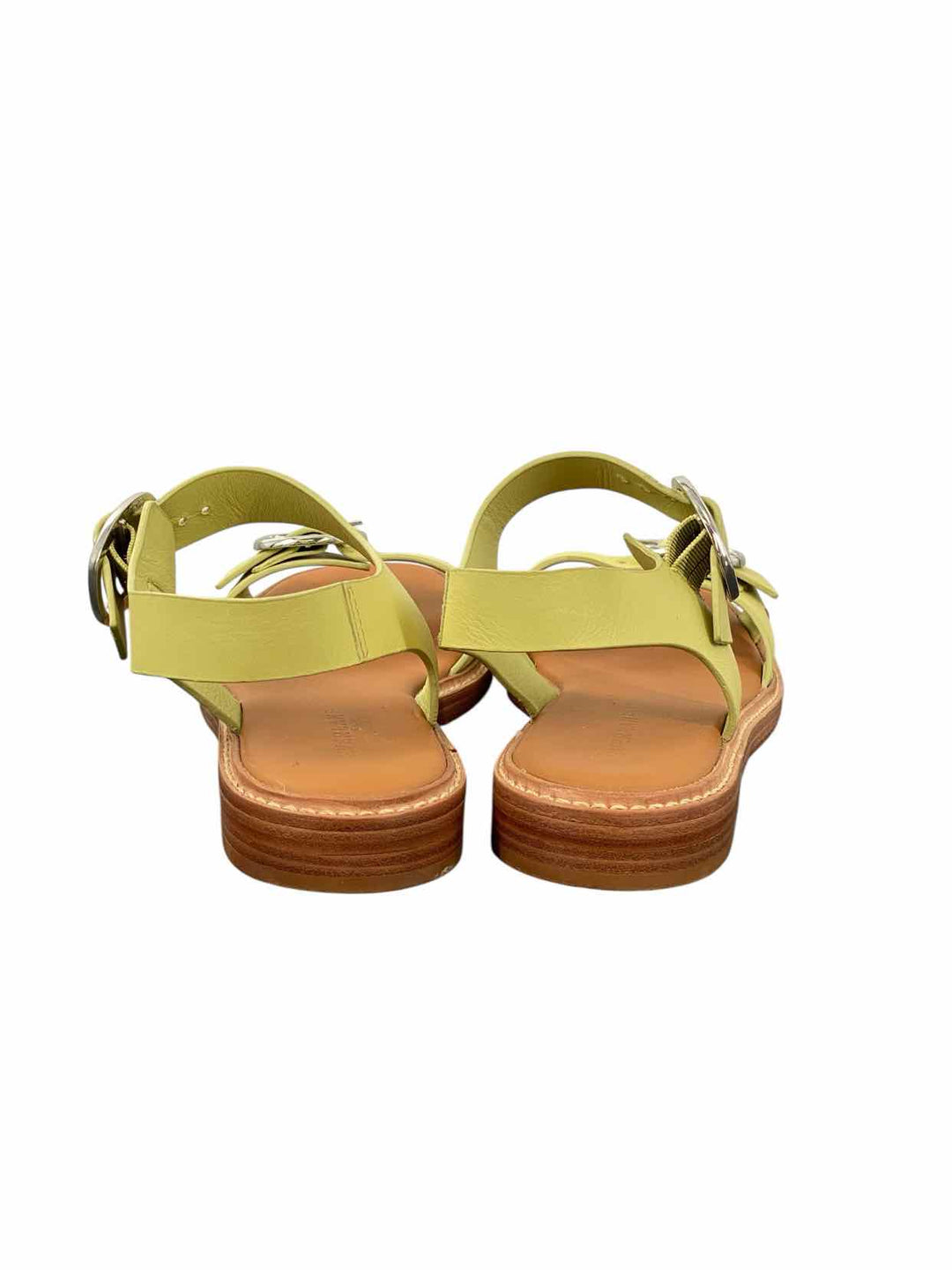 Everlane Shoe Size 9.5 Green Twin Buckle Sandals