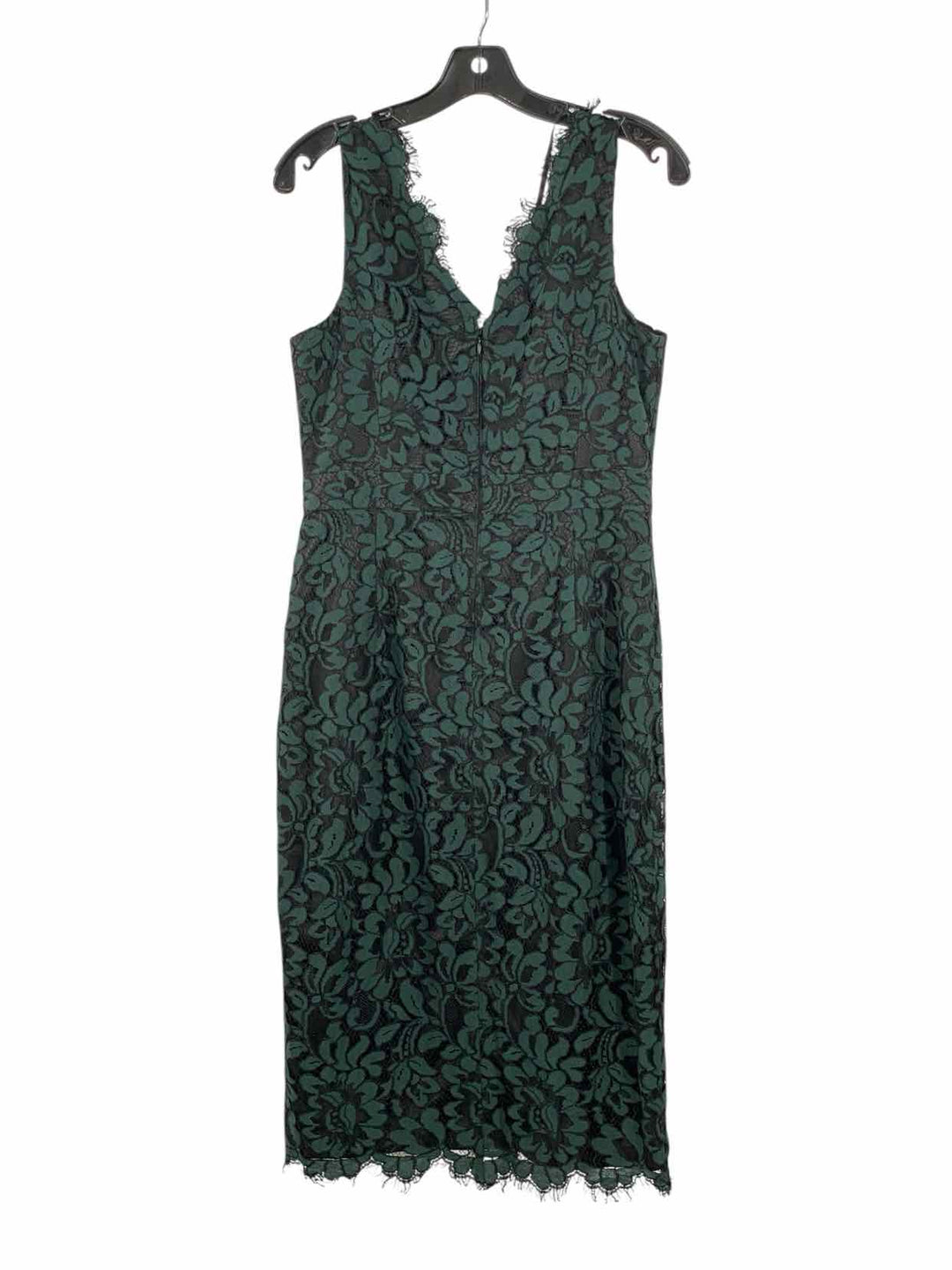 Eliza J Size 6 Green Black Lace/Floral Dress
