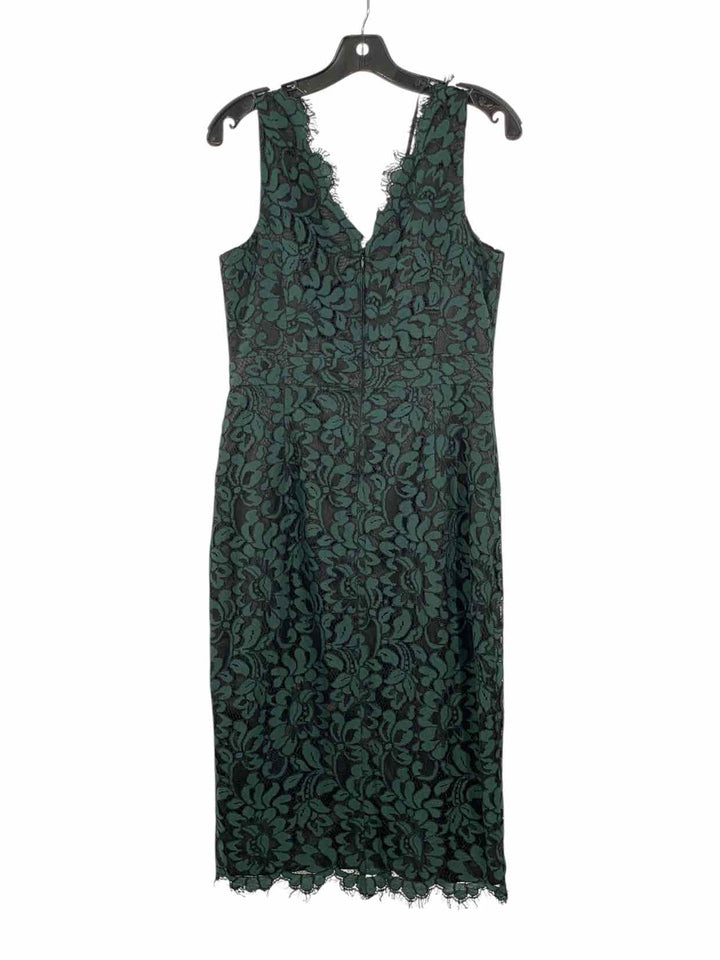 Eliza J Size 6 Green Black Lace/Floral Dress