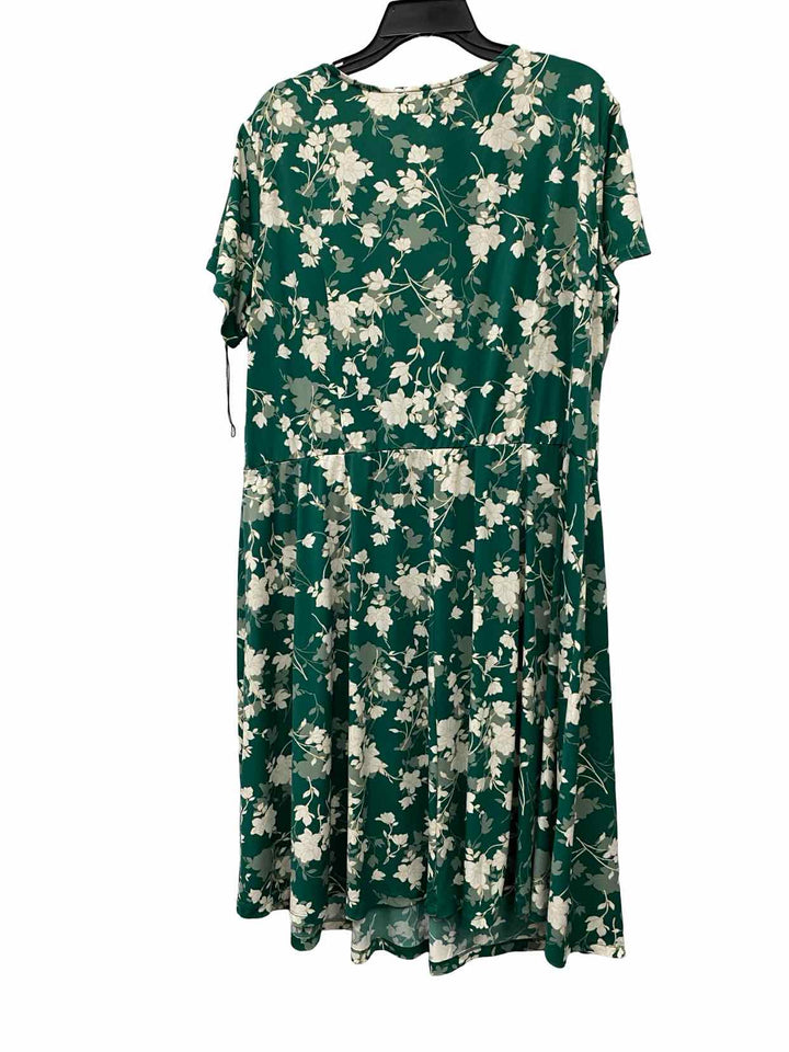 Maggy London Size 18W Green White Floral Dress
