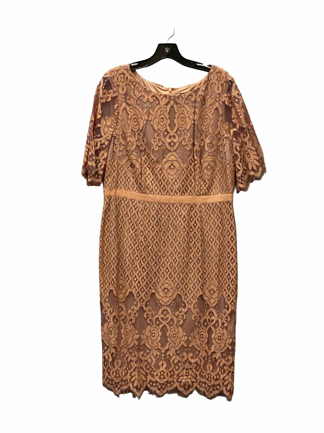 Adriana Papell Size 16 Pink Lace Dress