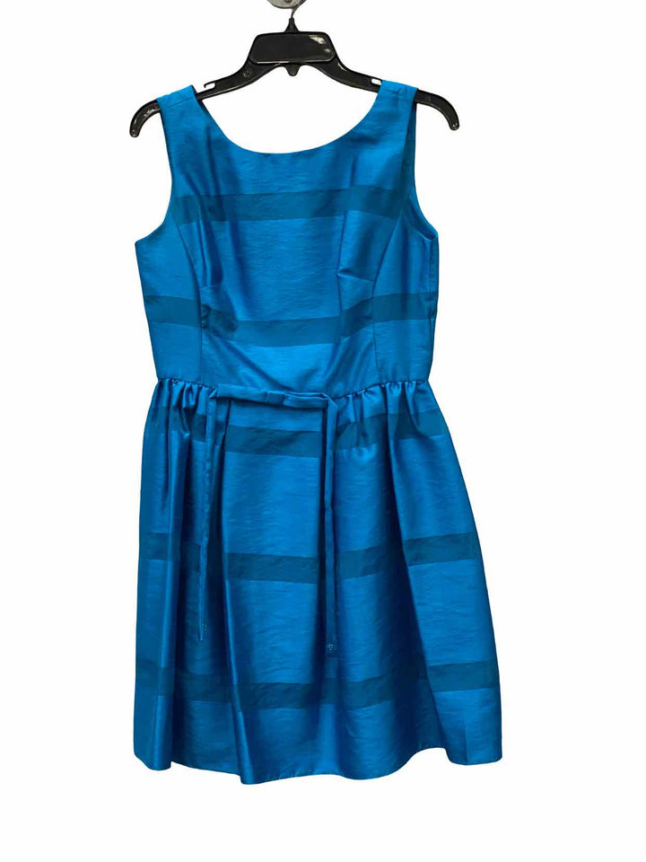 Taylor Size 8P Blue Dress