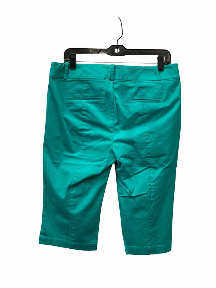 Ann Taylor Size 10 Turquoise Capris