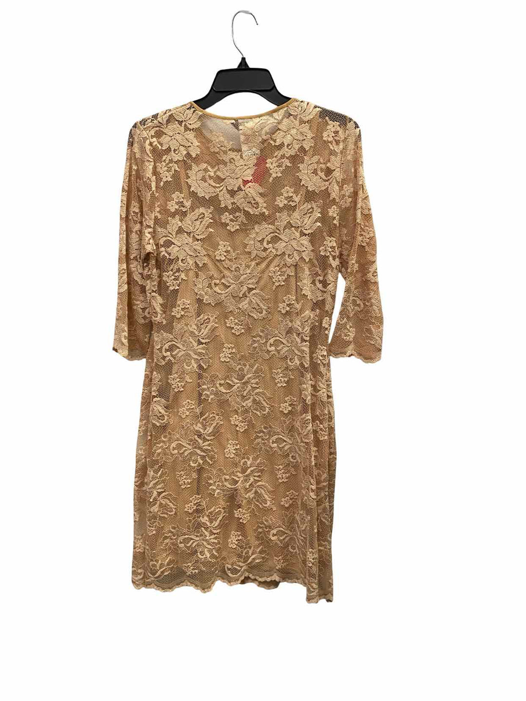 ABS Size S Beige Lace NWT Dress