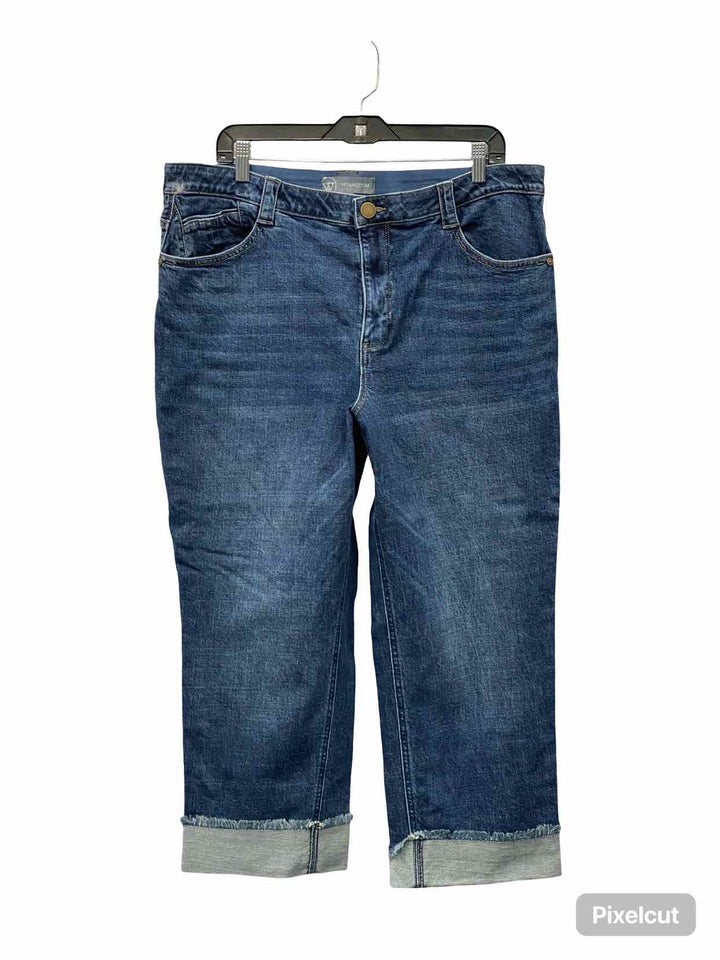 Wit & Wisdom Size 16 Blue Jeans