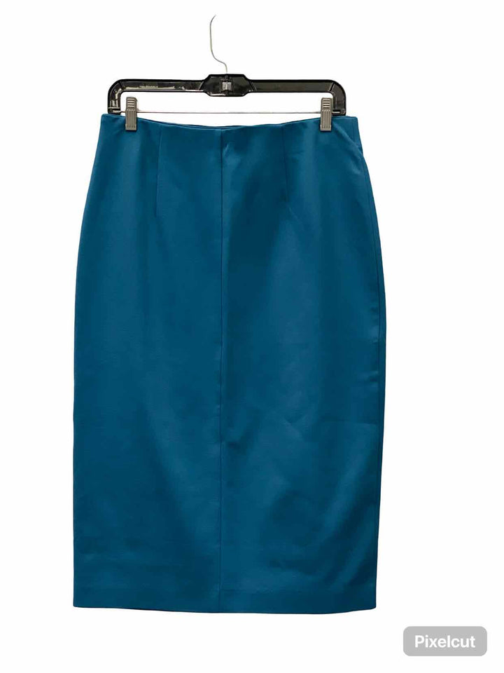 Ann Taylor Size M Blue Skirt
