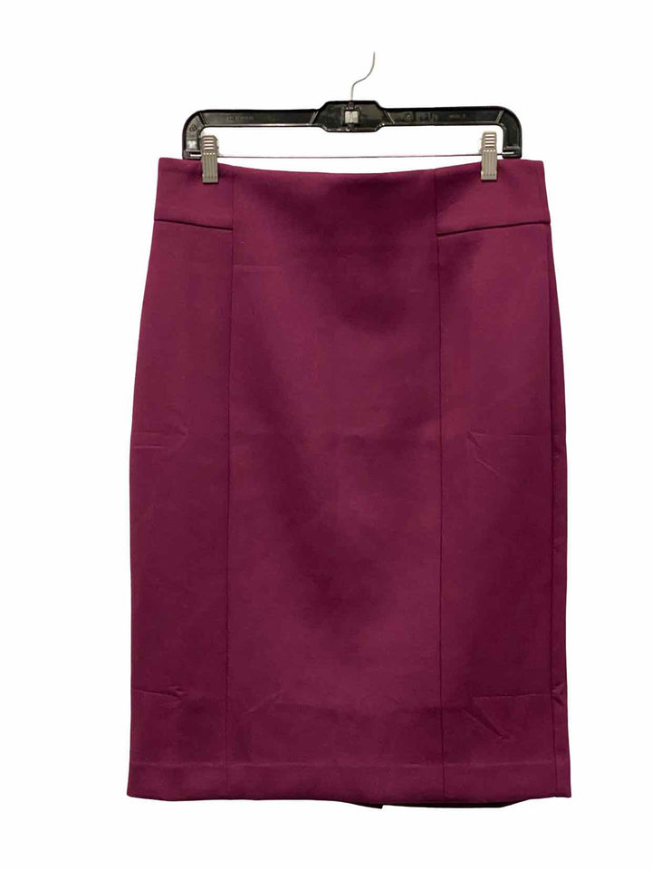 Ann Taylor Size 10 Purple Skirt