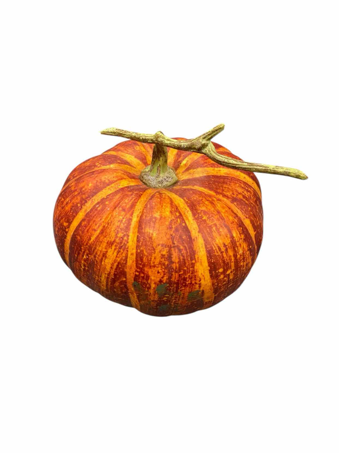 Harvest Pumpkin HOLIDAY