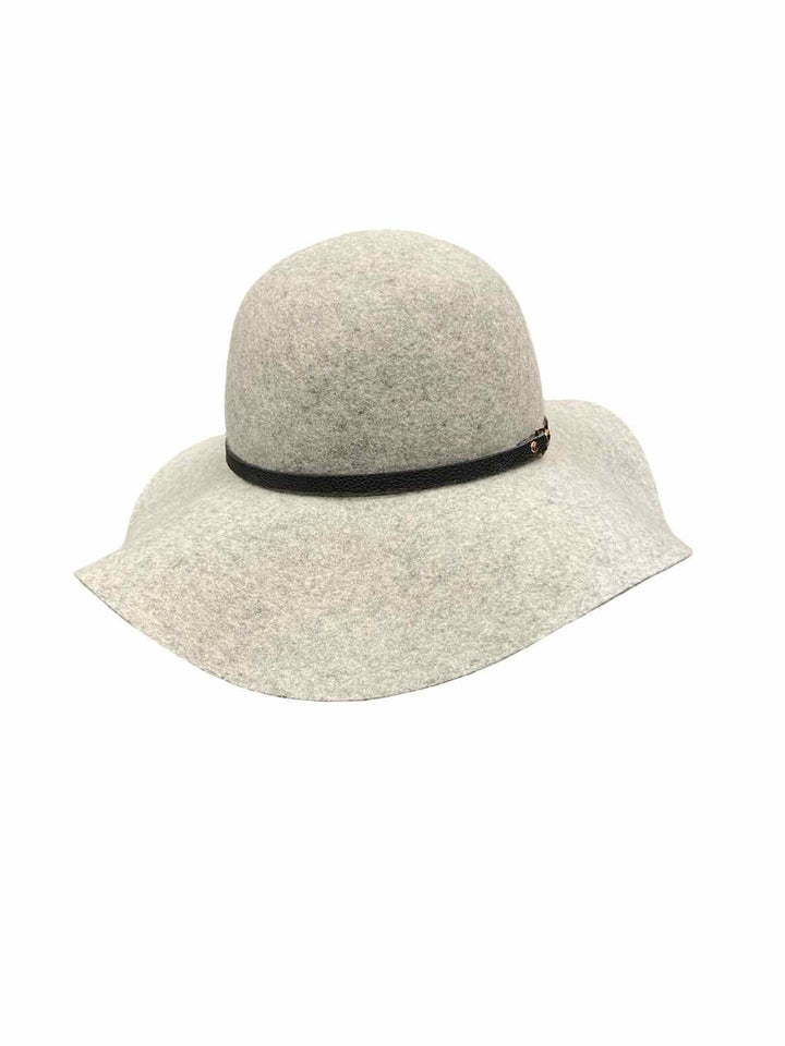 House of Harlow 1960 Gray Hat