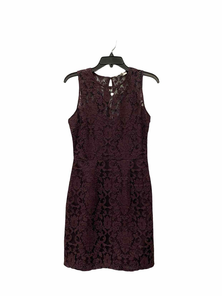 BB Dakota Size 4 Purple Lace Dress