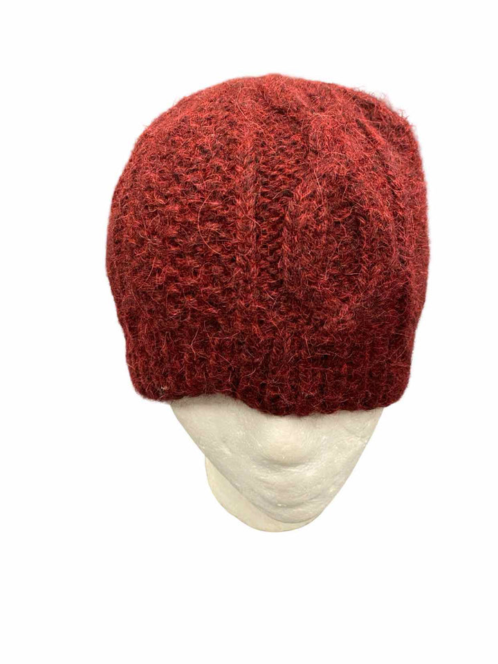Invisible World Burgundy Hat