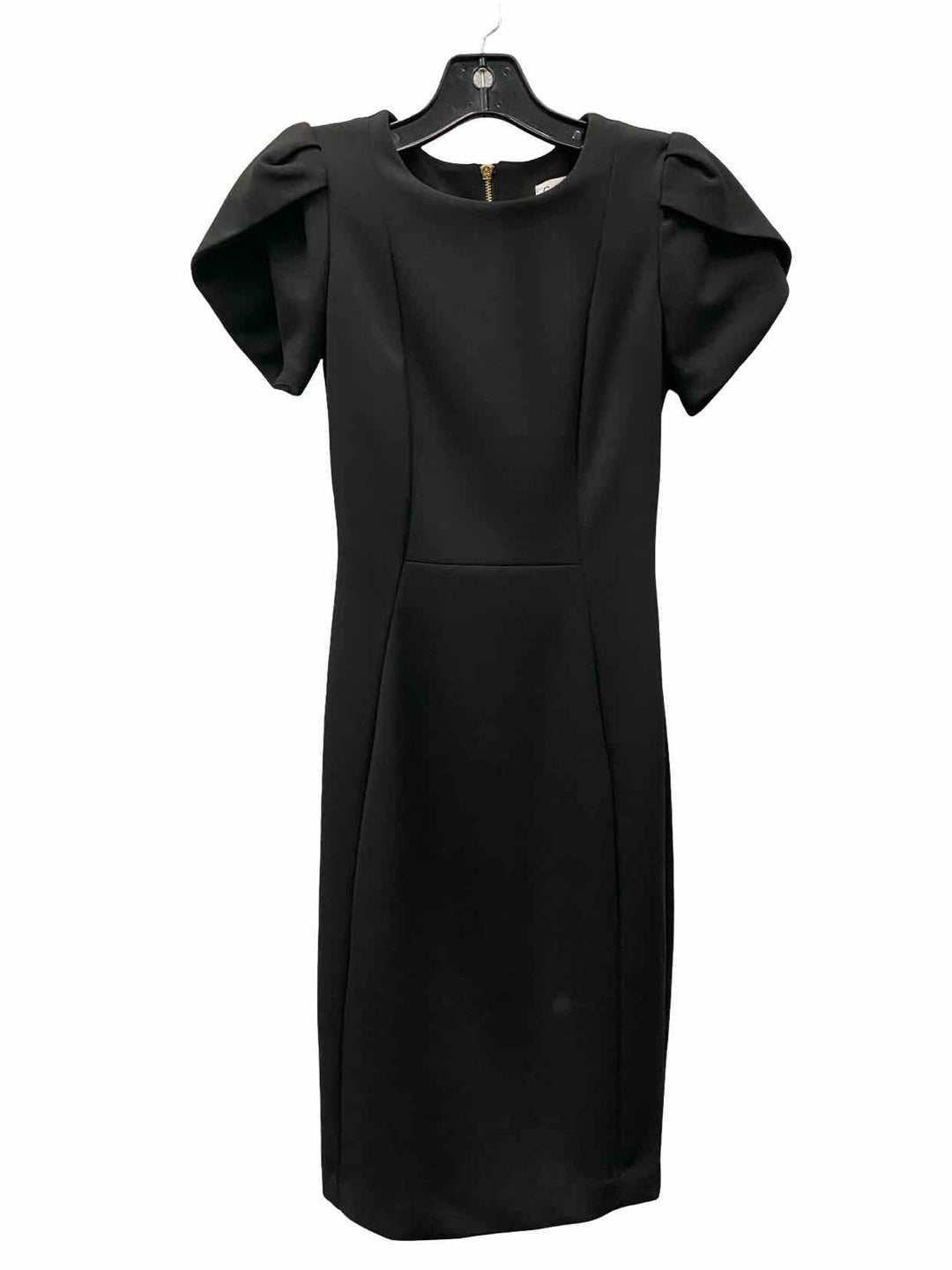 Calvin Klein Size 0P Black Dress
