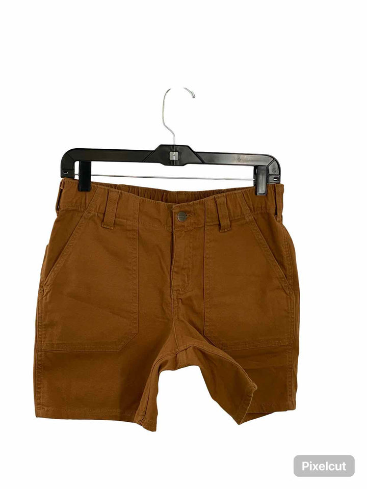 Carhartt Size 4 Brown Shorts