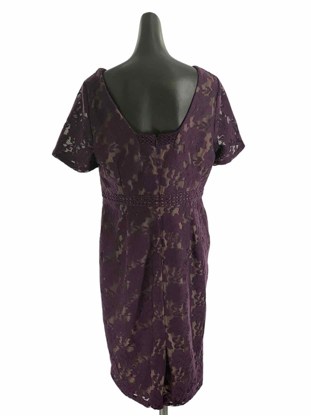 Adriana Papell Size 16 Purple Lace Dress