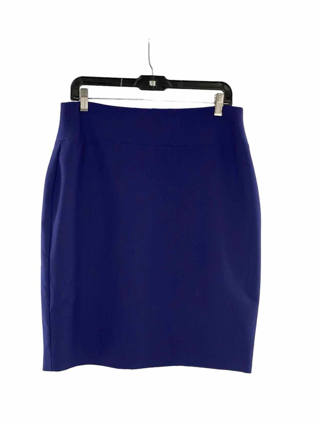 Alfani Size 10 Dark Blue Skirt